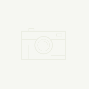 豆製品行業包裝容器